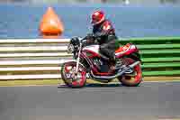 Vintage-motorcycle-club;eventdigitalimages;mallory-park;mallory-park-trackday-photographs;no-limits-trackdays;peter-wileman-photography;trackday-digital-images;trackday-photos;vmcc-festival-1000-bikes-photographs